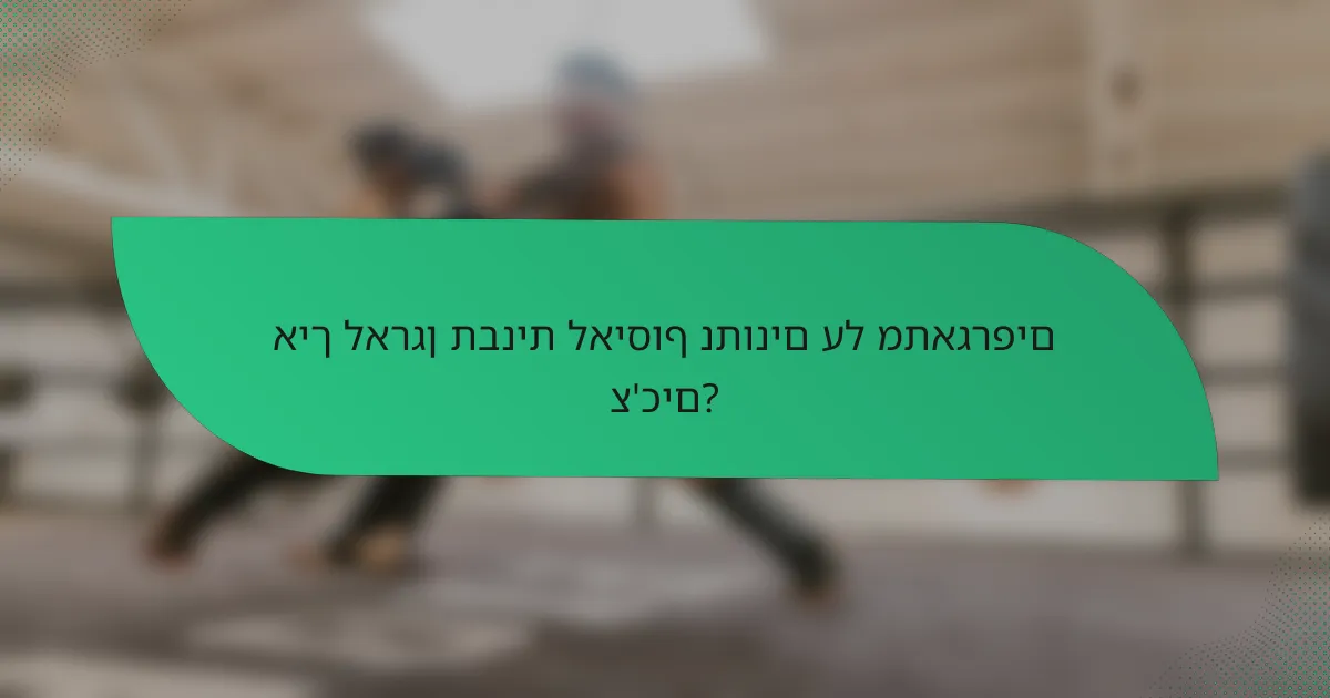 איך לארגן תבנית לאיסוף נתונים על מתאגרפים צ'כים?