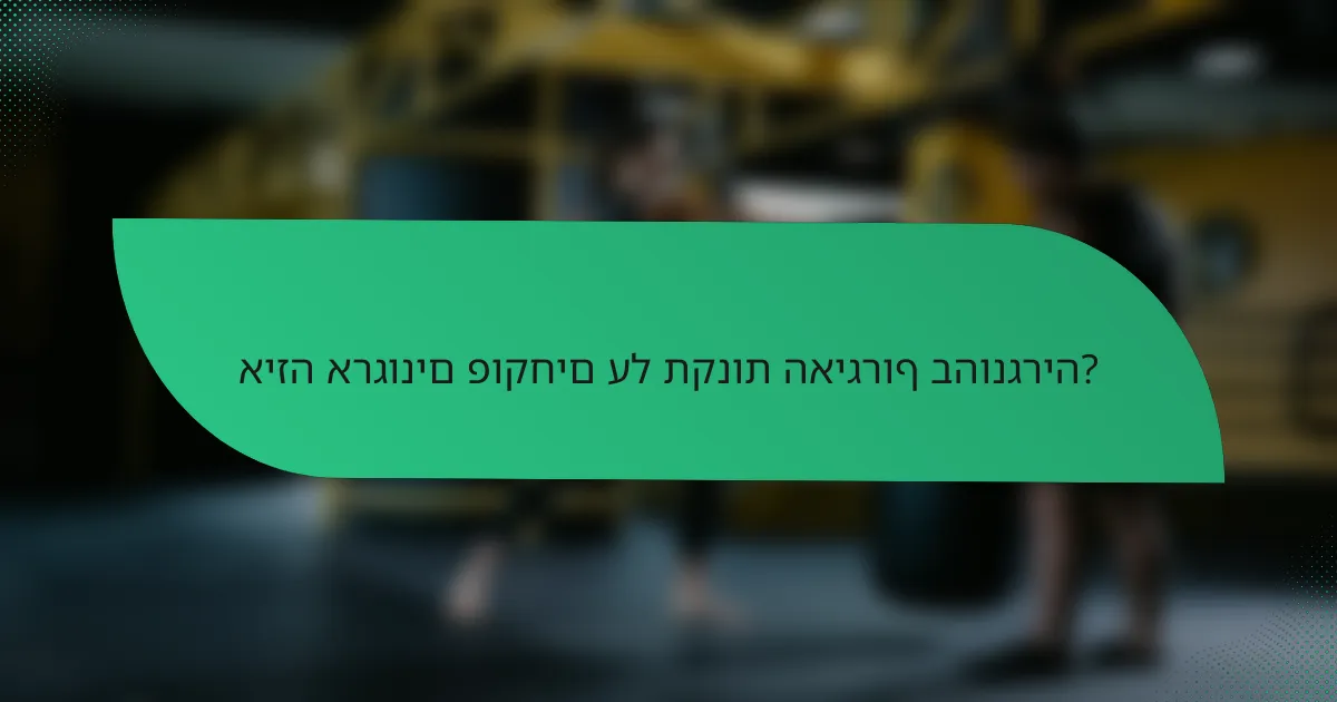 איזה ארגונים פוקחים על תקנות האיגרוף בהונגריה?
