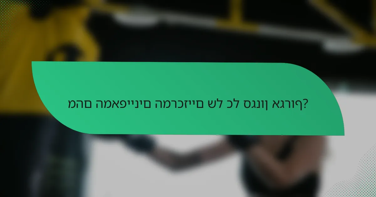 מהם המאפיינים המרכזיים של כל סגנון אגרוף?