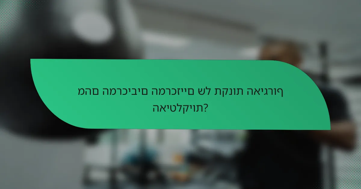 מהם המרכיבים המרכזיים של תקנות האיגרוף האיטלקיות?