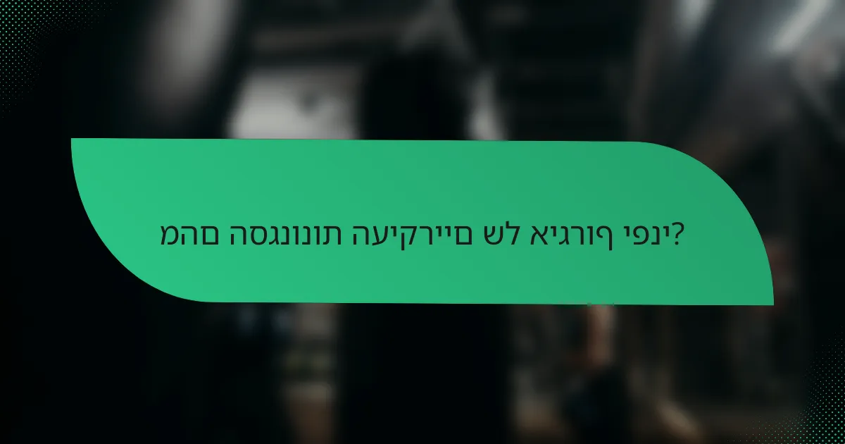 מהם הסגנונות העיקריים של איגרוף יפני?
