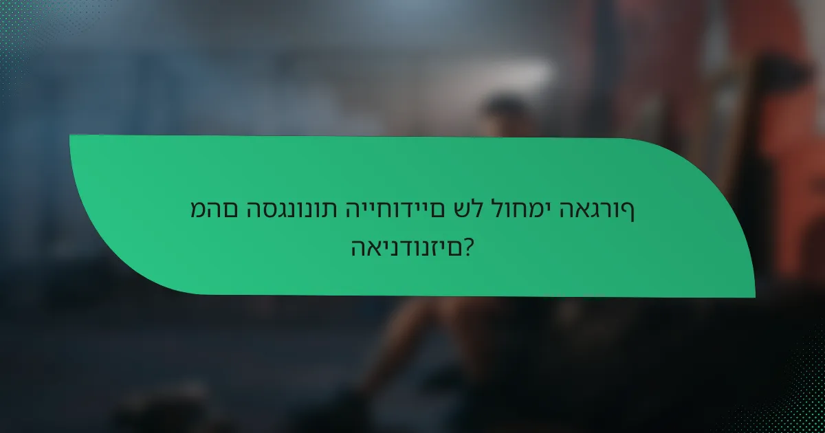 מהם הסגנונות הייחודיים של לוחמי האגרוף האינדונזים?