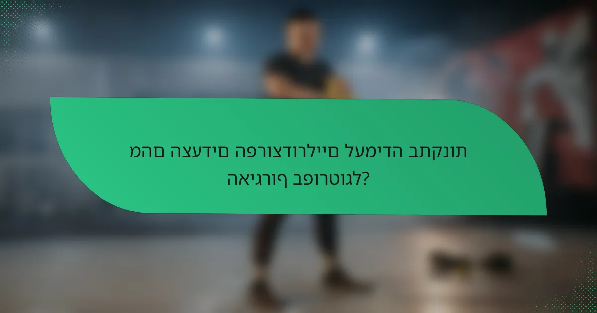 מהם הצעדים הפרוצדורליים לעמידה בתקנות האיגרוף בפורטוגל?