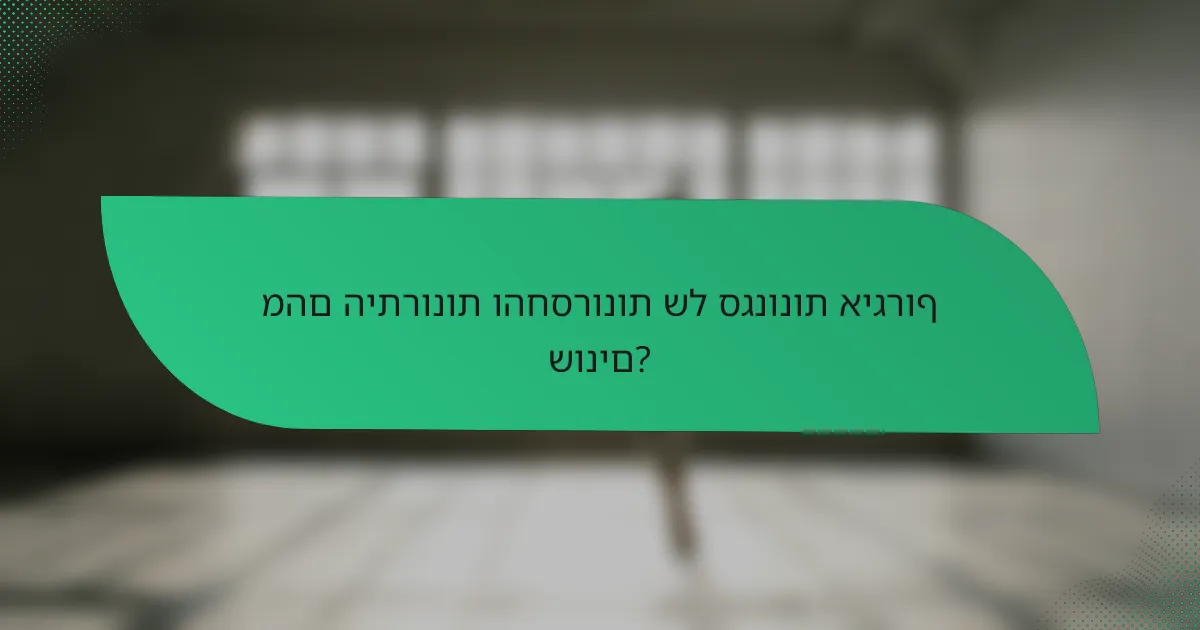 מהם היתרונות והחסרונות של סגנונות איגרוף שונים?