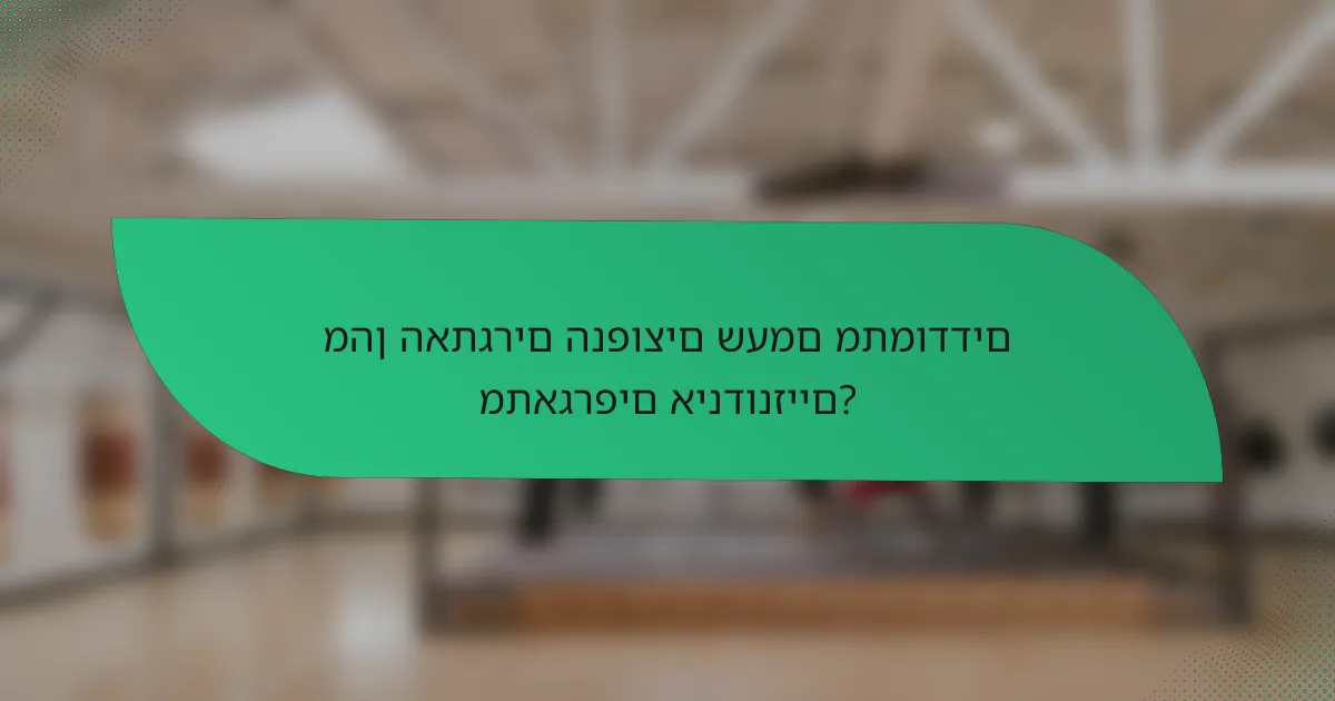 מהן האתגרים הנפוצים שעמם מתמודדים מתאגרפים אינדונזיים?