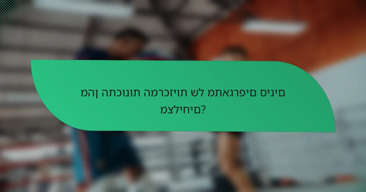 מהן התכונות המרכזיות של מתאגרפים סינים מצליחים?