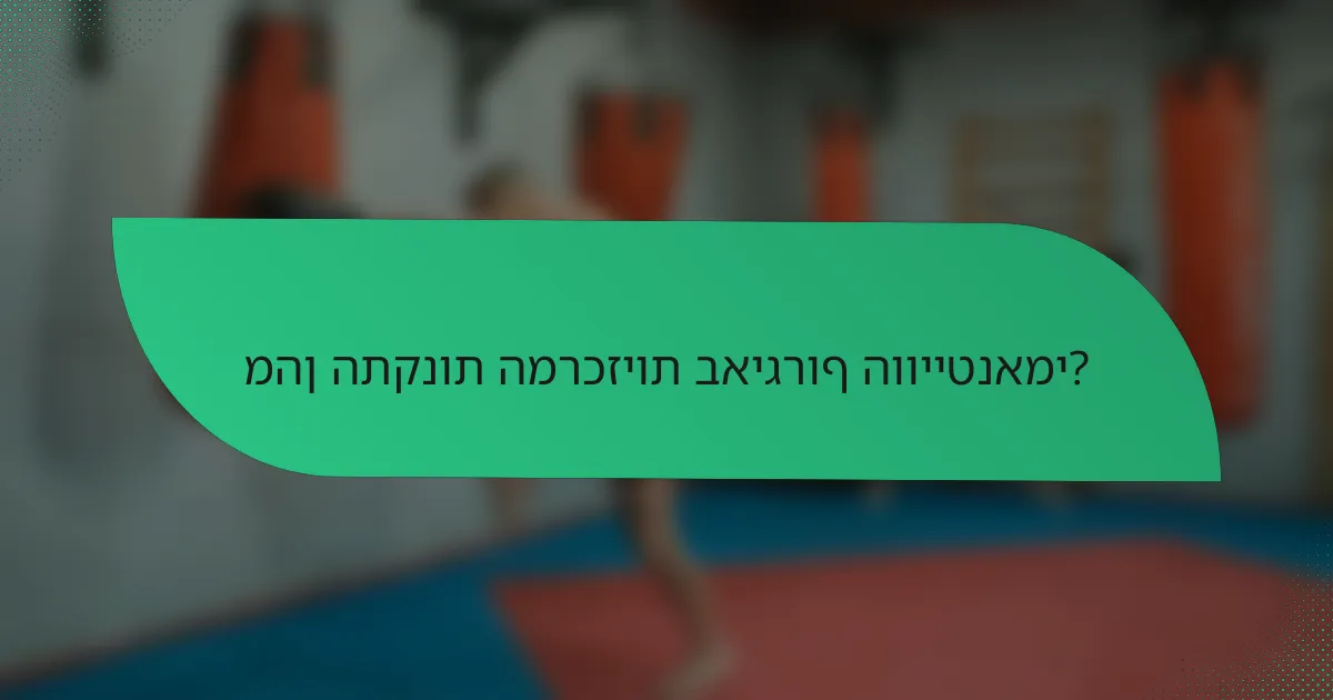 מהן התקנות המרכזיות באיגרוף הווייטנאמי?