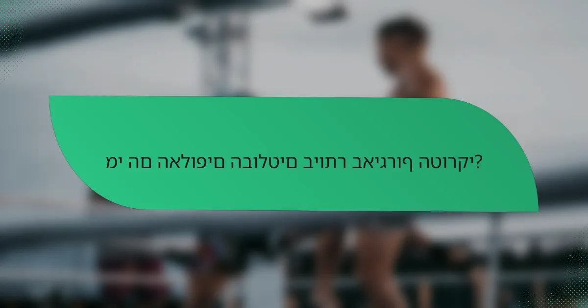 מי הם האלופים הבולטים ביותר באיגרוף הטורקי?